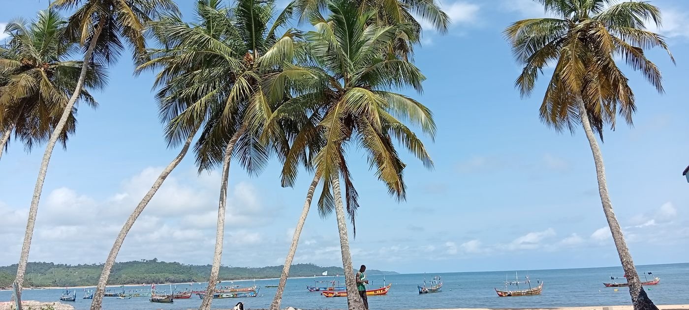 Monogaga : Cocotiers au bord de la baie